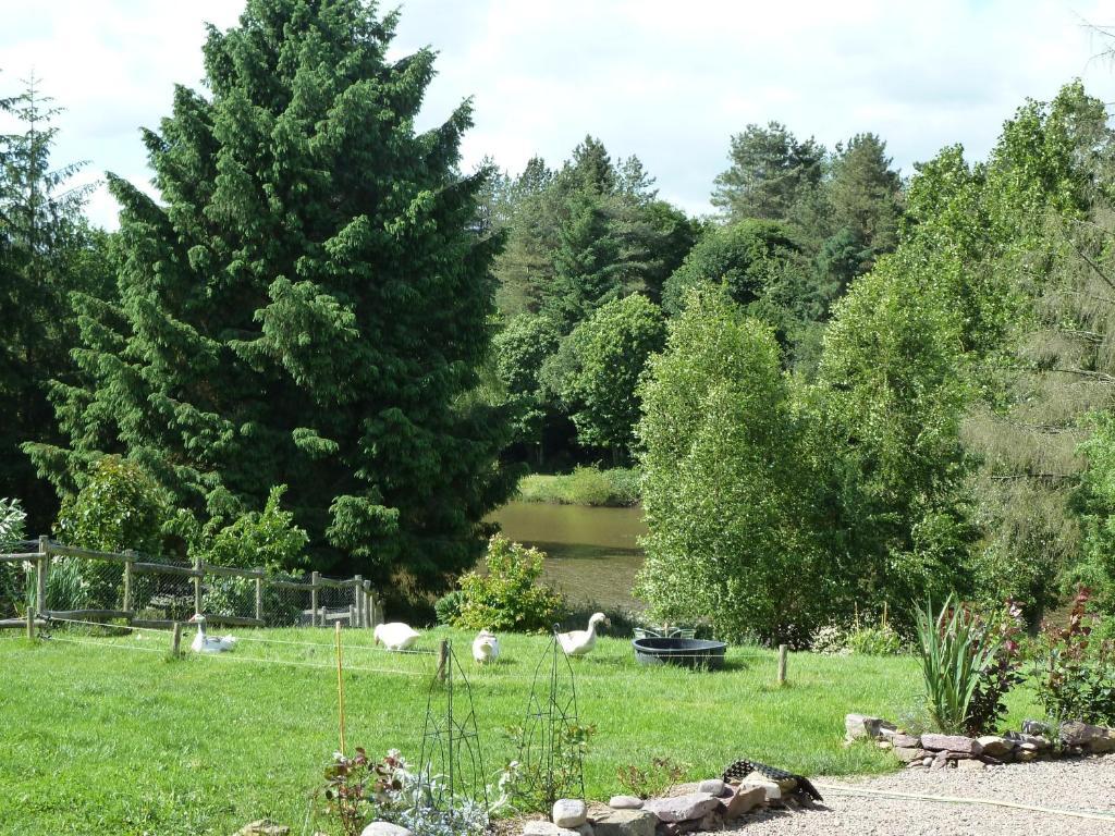 Chambres d'Hôtes Logis de l'Etang de l'Aune Iffendic Extérieur photo